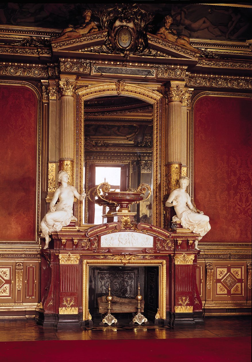 Vista del camino nel Grand Salon da French Photographer