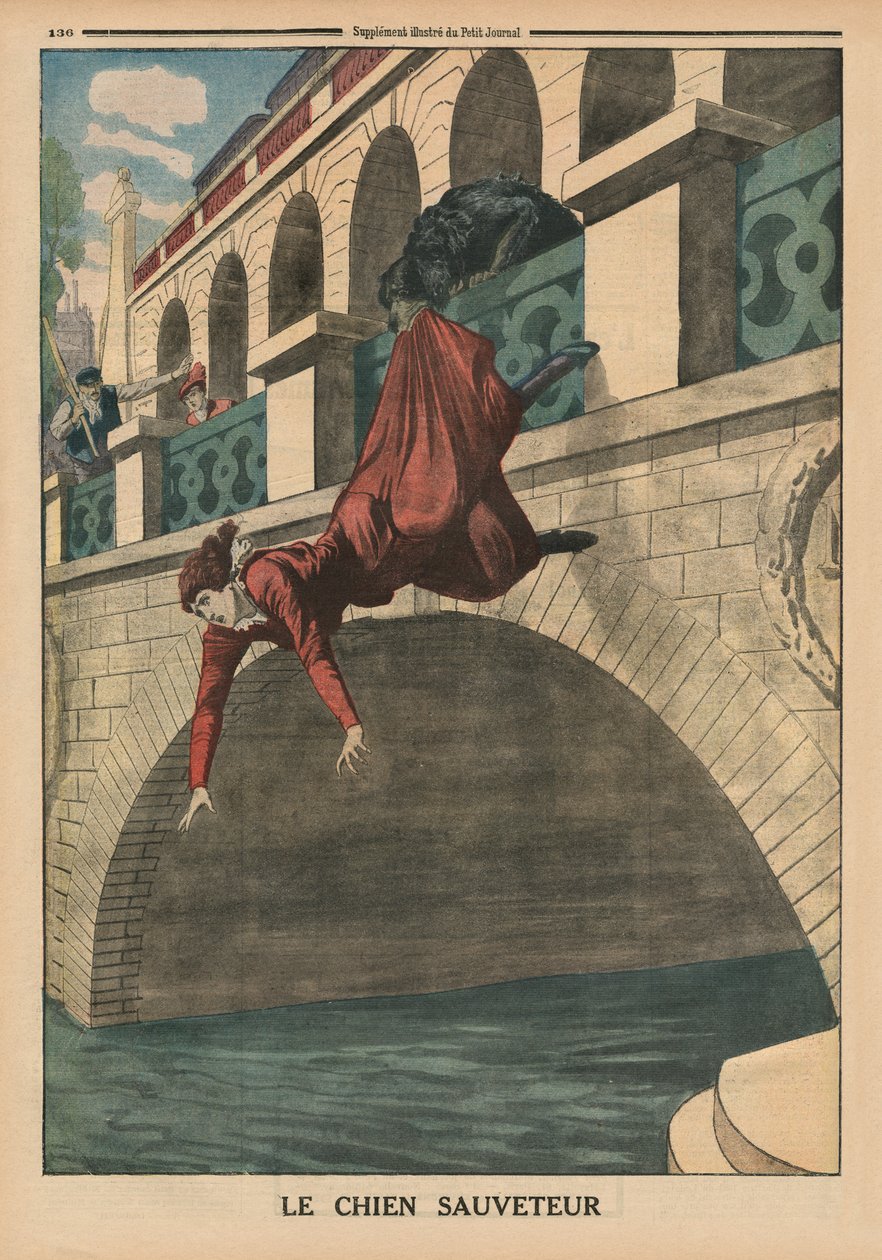 Un cane da salvataggio, illustrazione di copertina di 