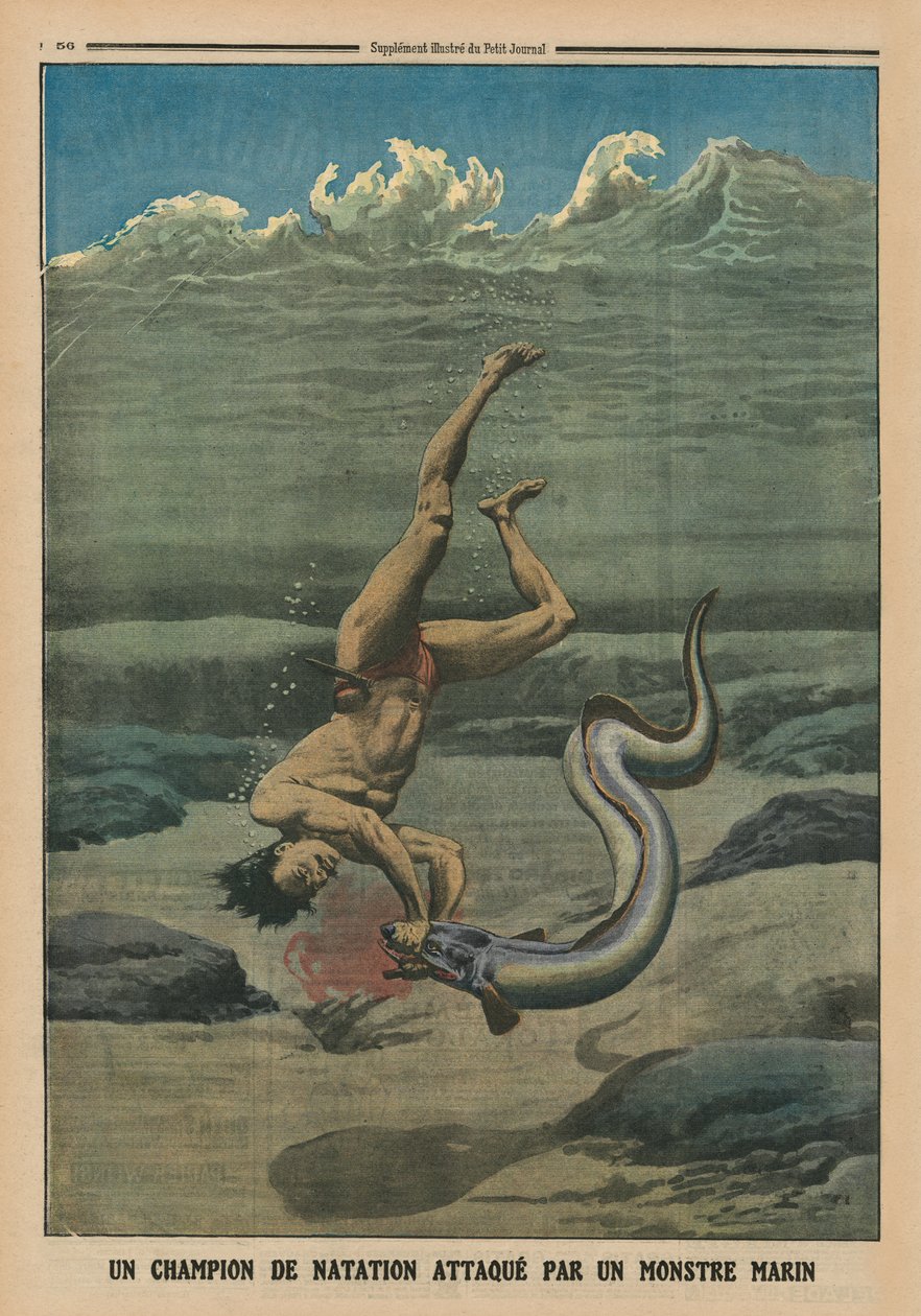 Un campione di nuoto attaccato da un mostro marino, illustrazione di copertina da 