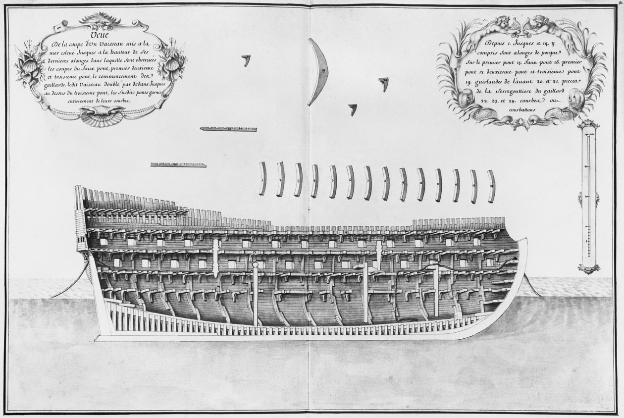 Sezione trasversale di una nave varata, illustrazione dall