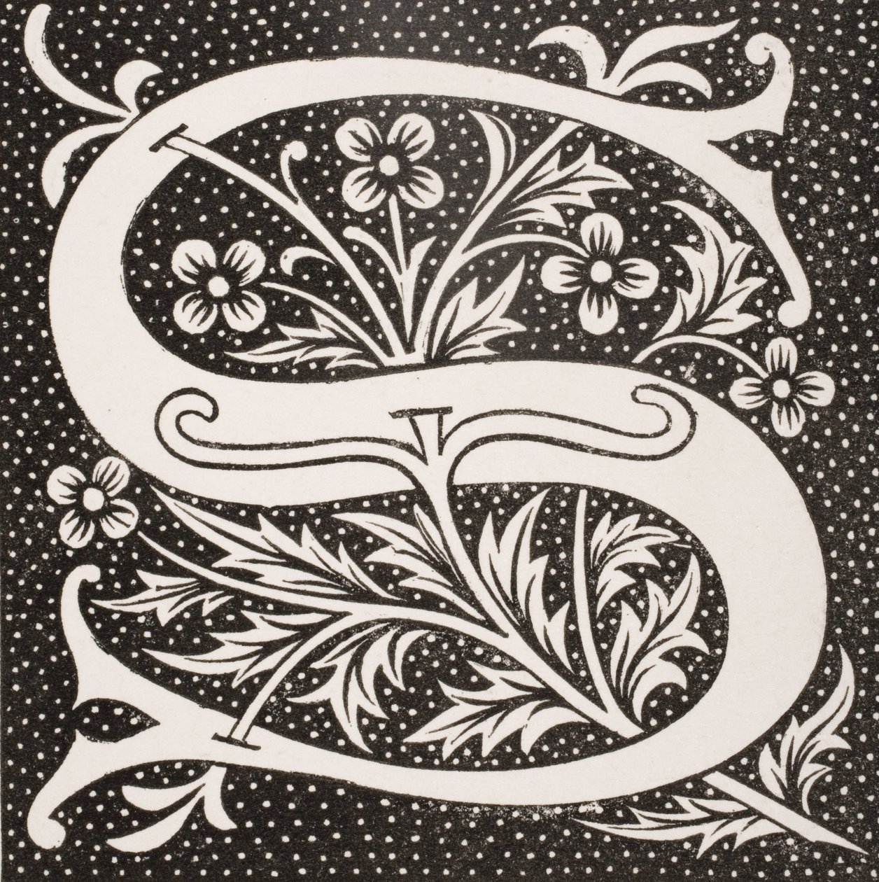 Lettera decorata 