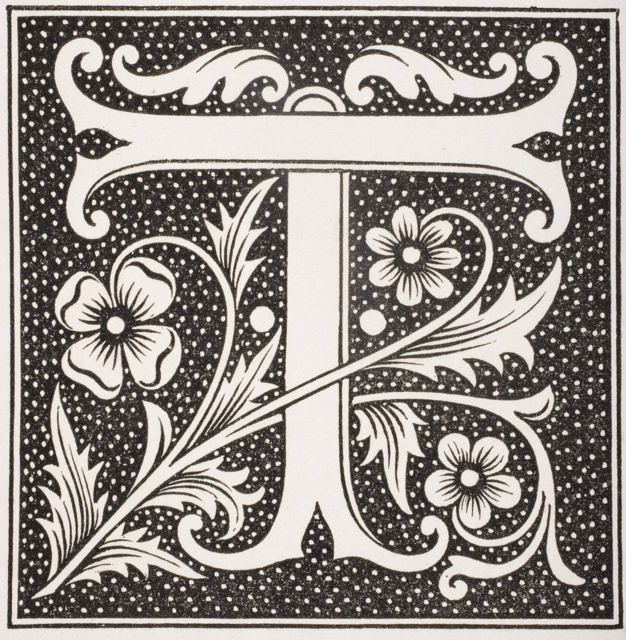 Lettera decorata 