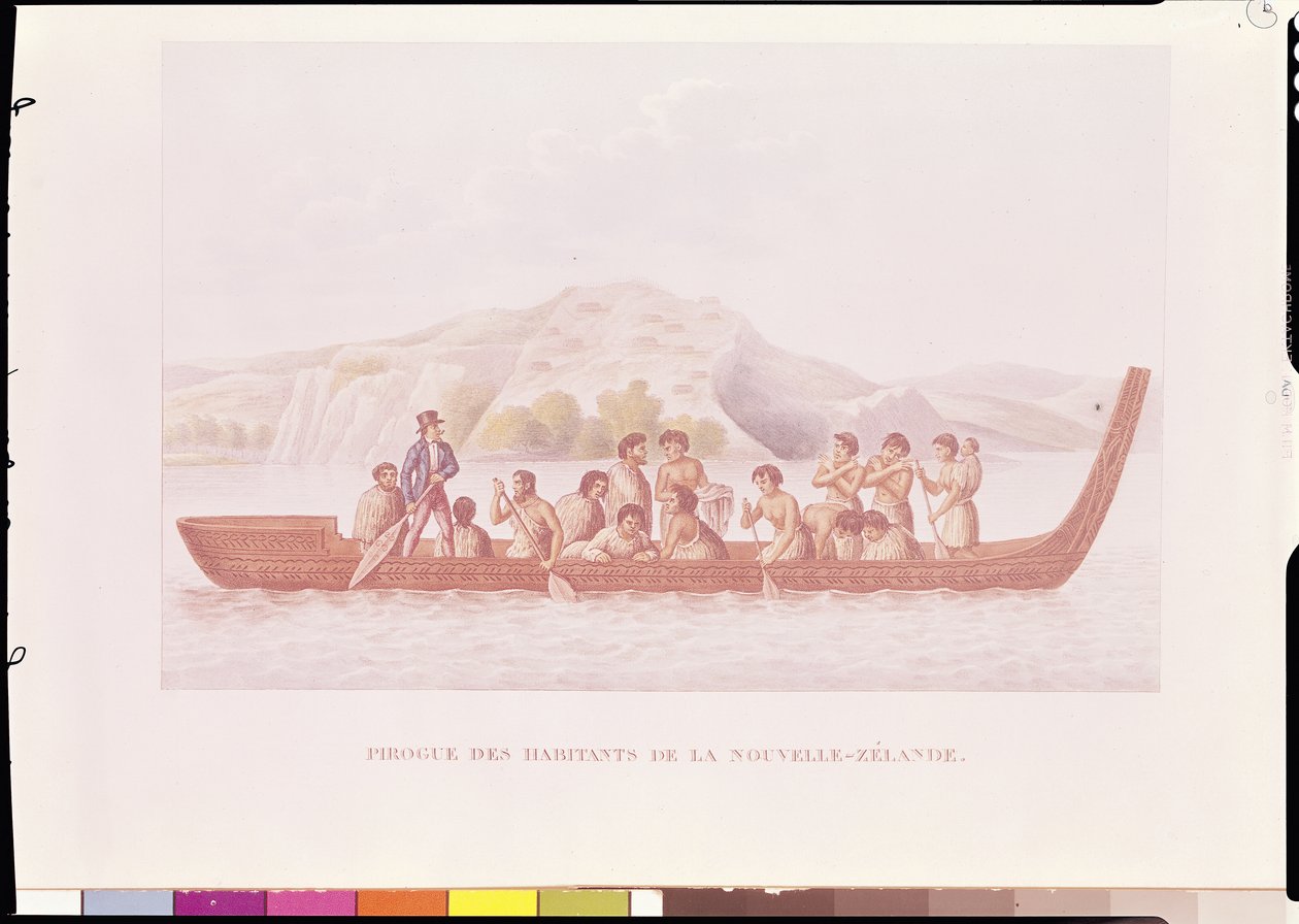 Canoa scavata pilotata da nativi della Nuova Zelanda, illustrazione da 