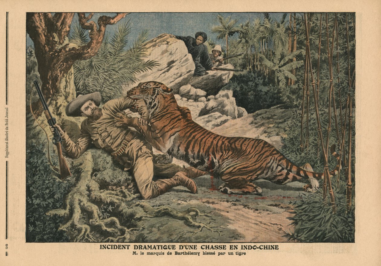 Il marchese di Barthelemy ferito da una tigre, illustrazione da 
