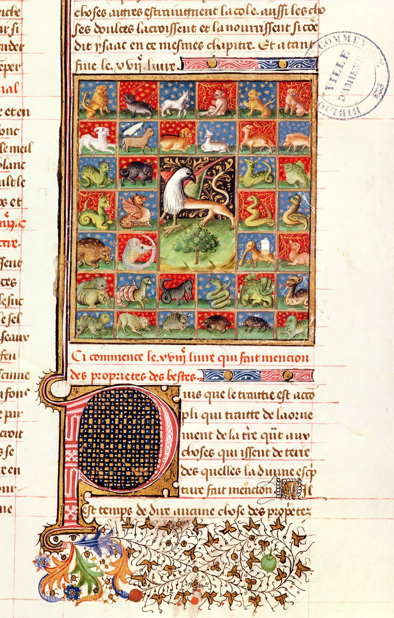 Ms 399 fol.241 Le proprietà degli animali, dal 