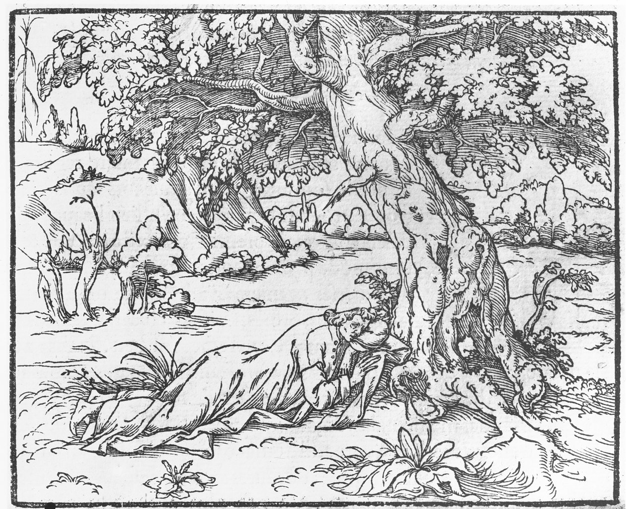 Pagina da Discours du Songe de Poliphile, di Francesco Colonna, 1546 da French School