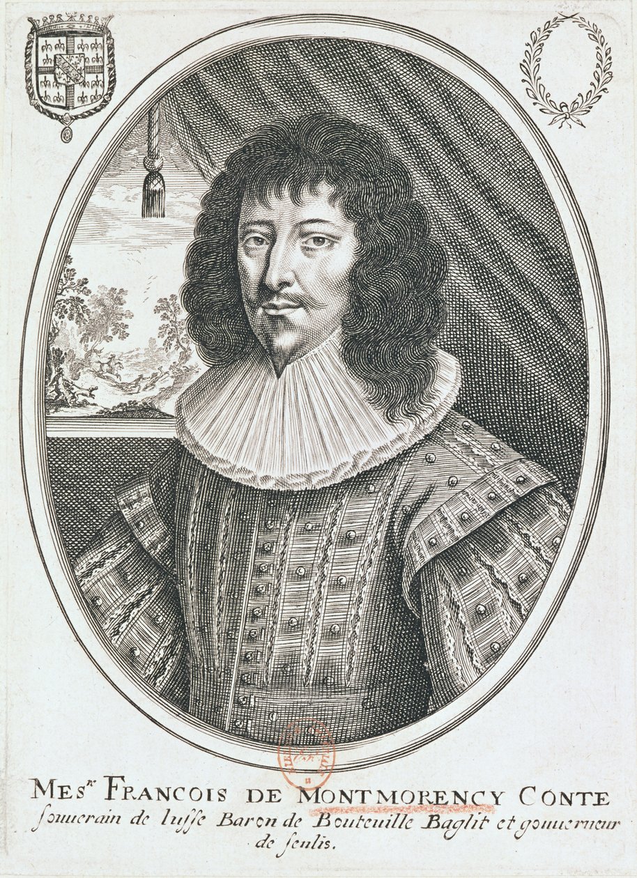 Ritratto di François de Montmorency (1530-79) 1600-27 da French School