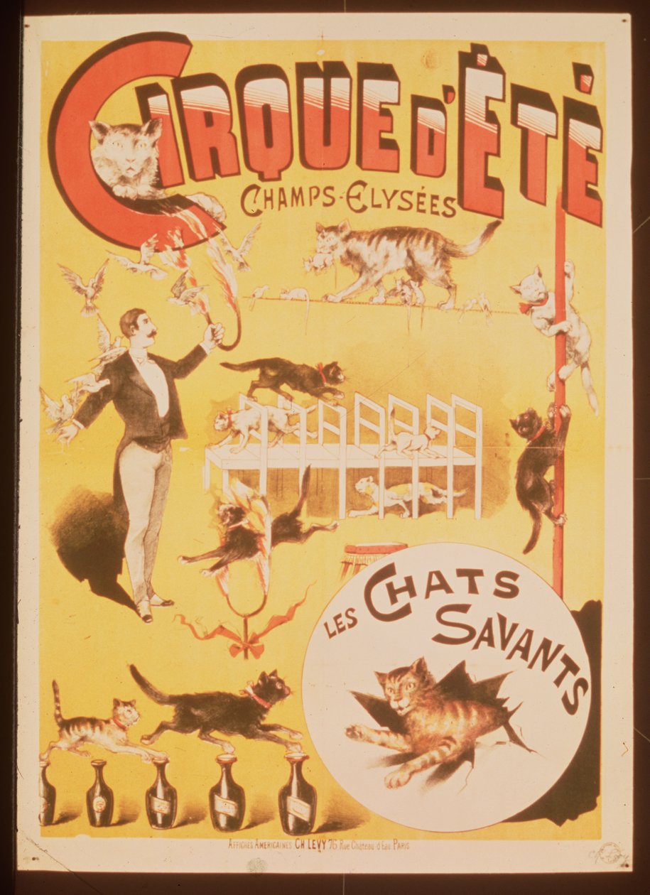 Poster pubblicitario del Cirque d