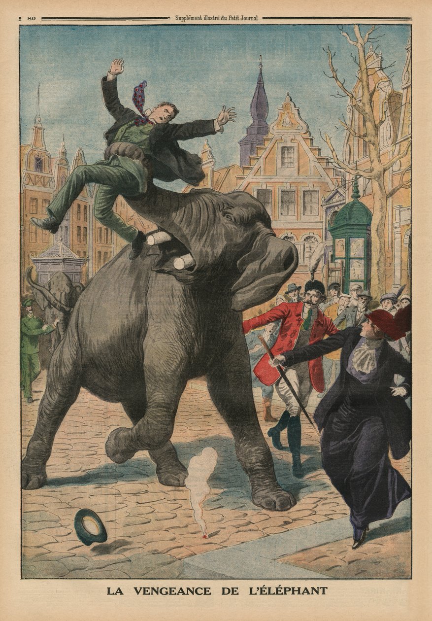 Vendetta di un elefante, illustrazione di copertina da 