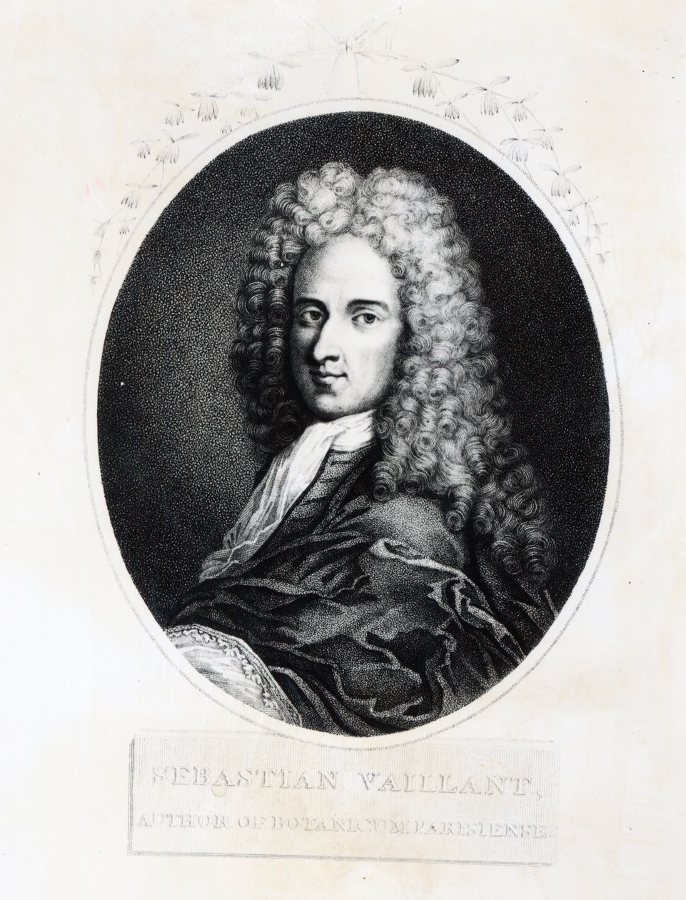 Sebastien Vaillant da French School