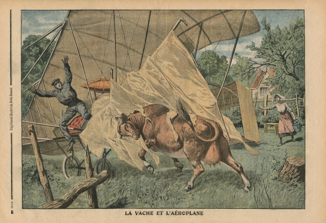 La mucca e l