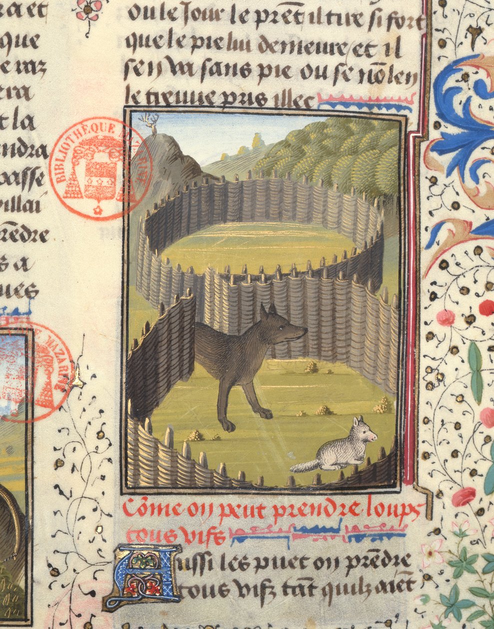 Lupo in procinto di attaccare un agnello, dal Livre de la Chasse di Gaston Phebus de Foix (1331-91) da French School