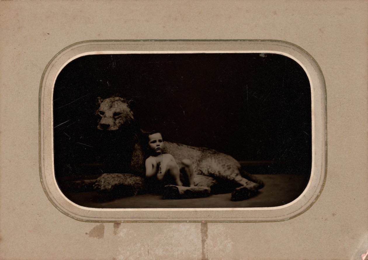 Ritratto di un bambino da French 19th Century