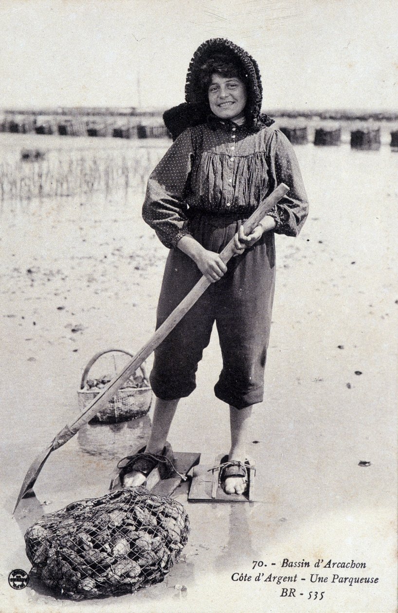 Bacino di Arcachon: una macchina per la parcellizzazione delle ostriche - cartolina postale da French Photographer