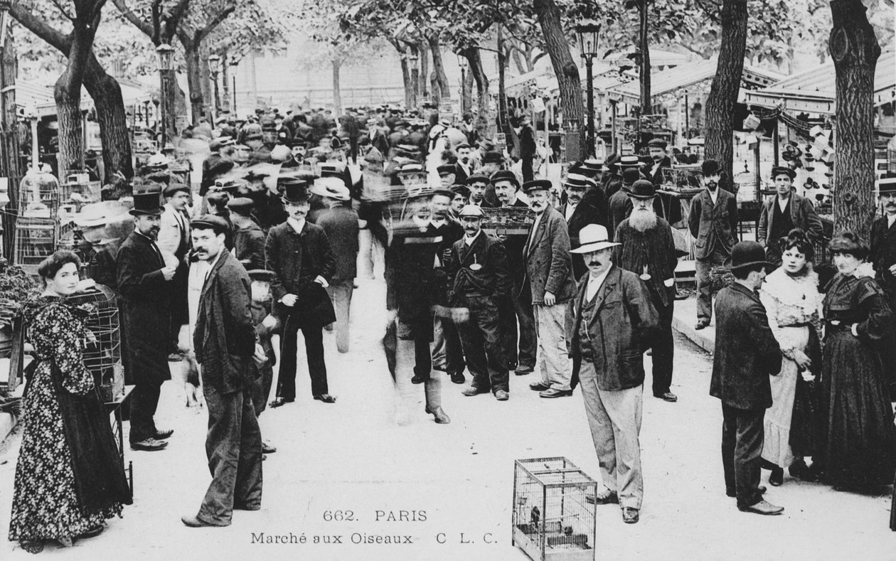 Mercato degli uccelli, Parigi da French Photographer