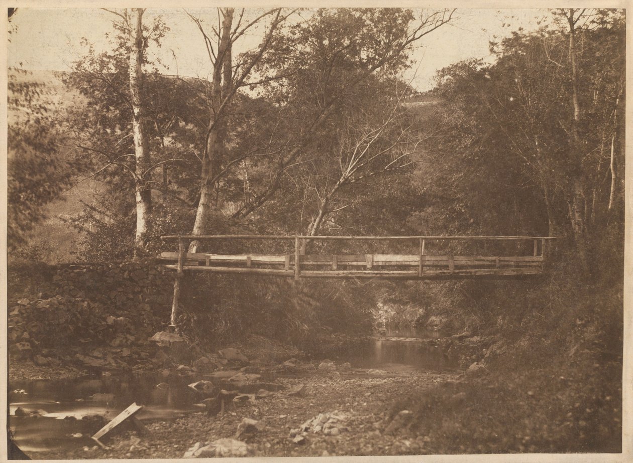 Paesaggio con alberi e ponte, c. 1850 (foto) da French Photographer