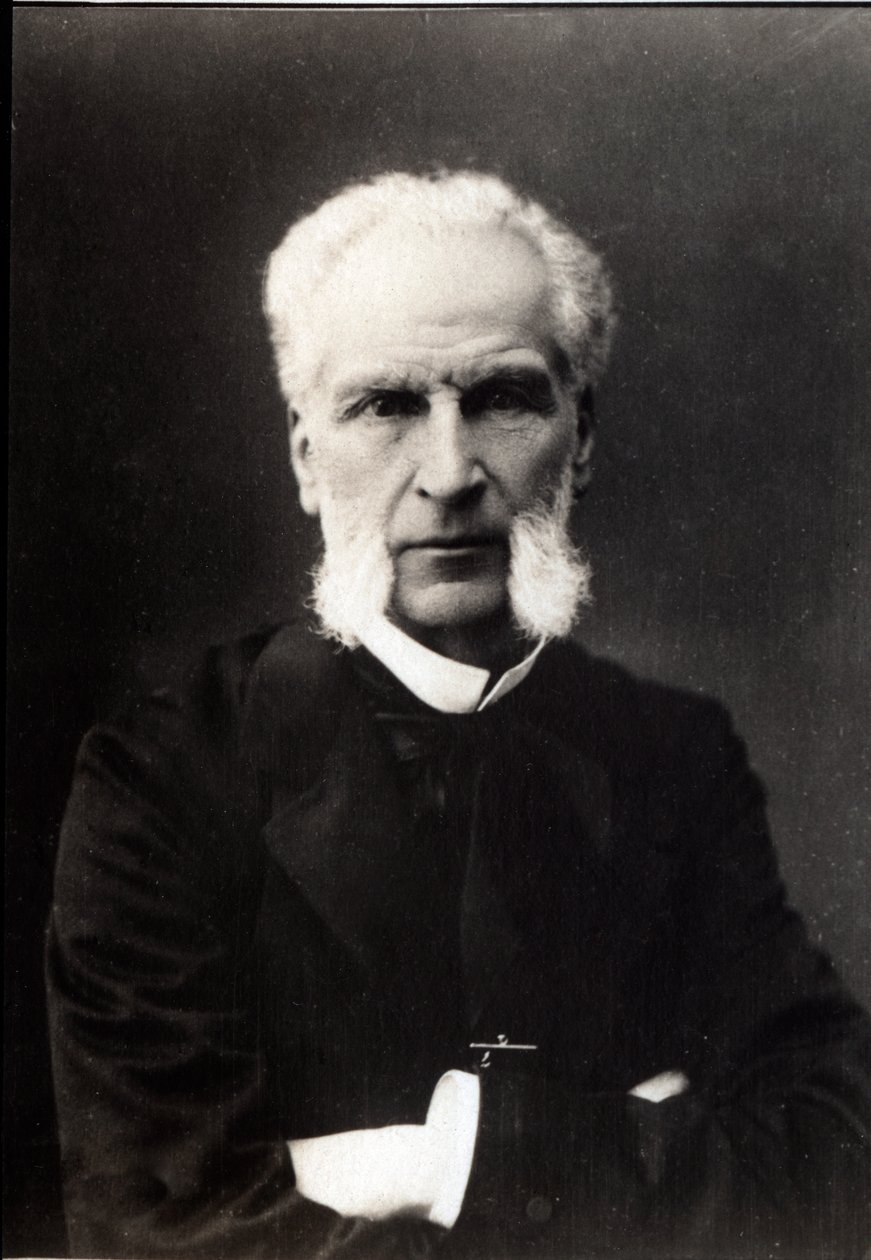 Ritratto di Aime Joseph Edmond Rousse (1817-1906), avvocato francese da French Photographer