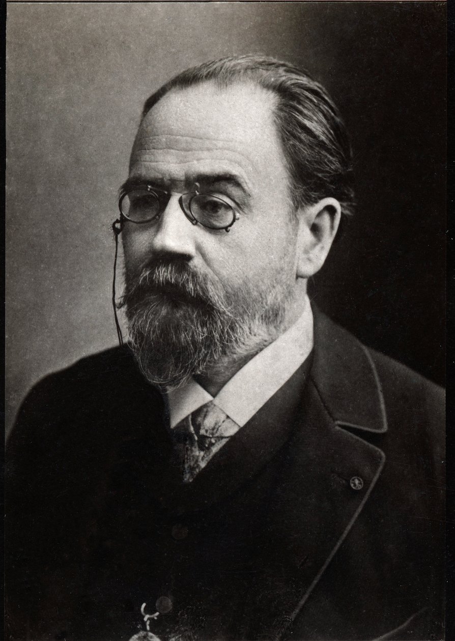 Ritratto di Emile Zola (1840-1902), scrittore francese da French Photographer