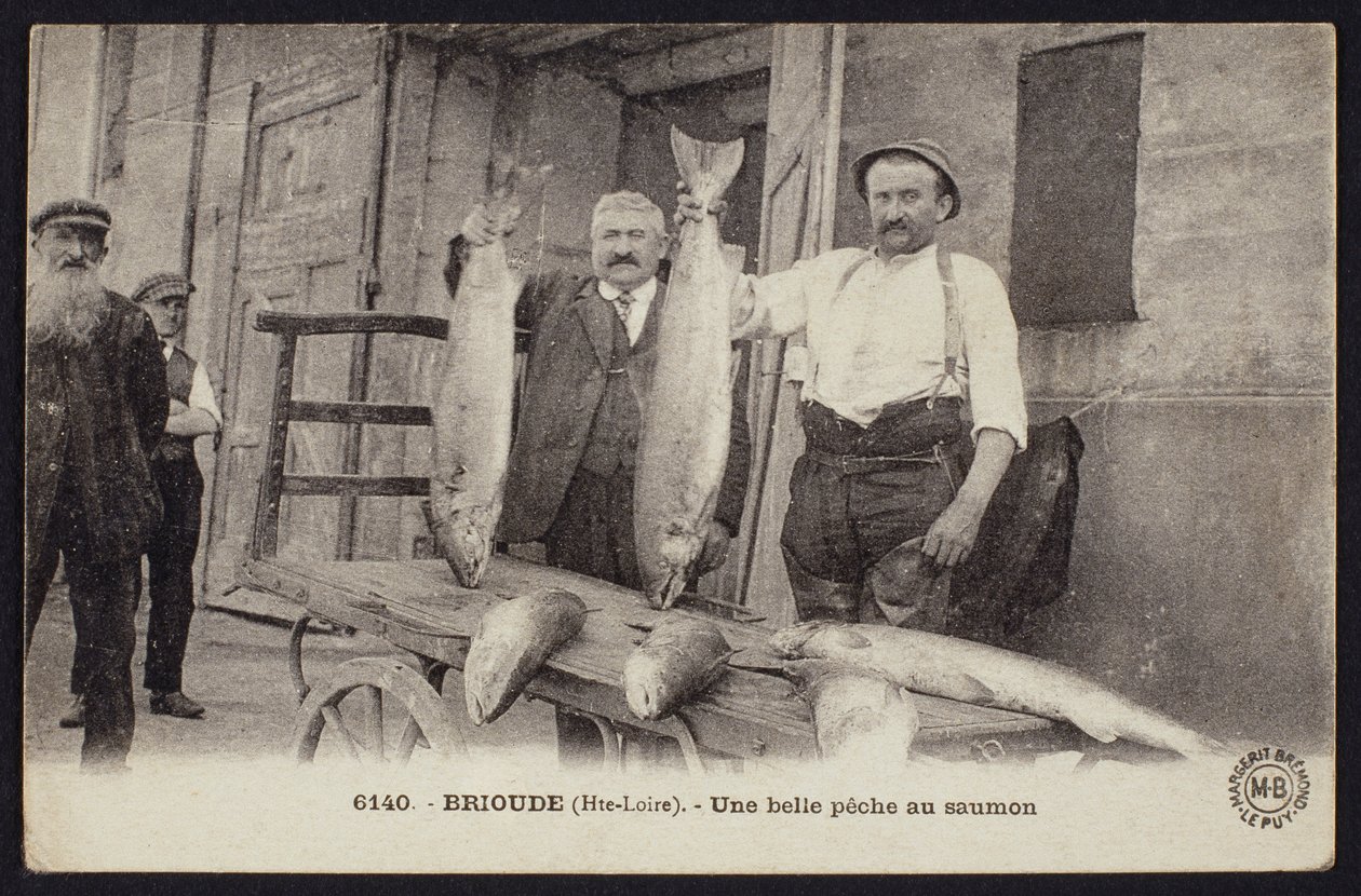 Cartolina raffigurante una buona pesca di salmoni a Brioude, Haute-Loire, c.1900 da French Photographer