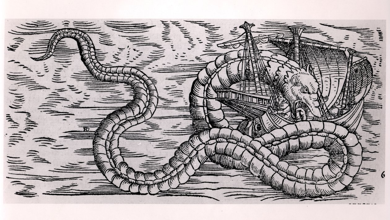 Un serpente marino gigante da French School