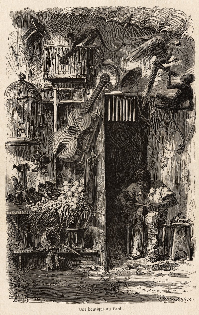 Un negozio a Para, illustrazione del viaggio di Mr. Biard in Brasile nel 1858-1859. Incisione in "Le tour du monde" 1861 da French School