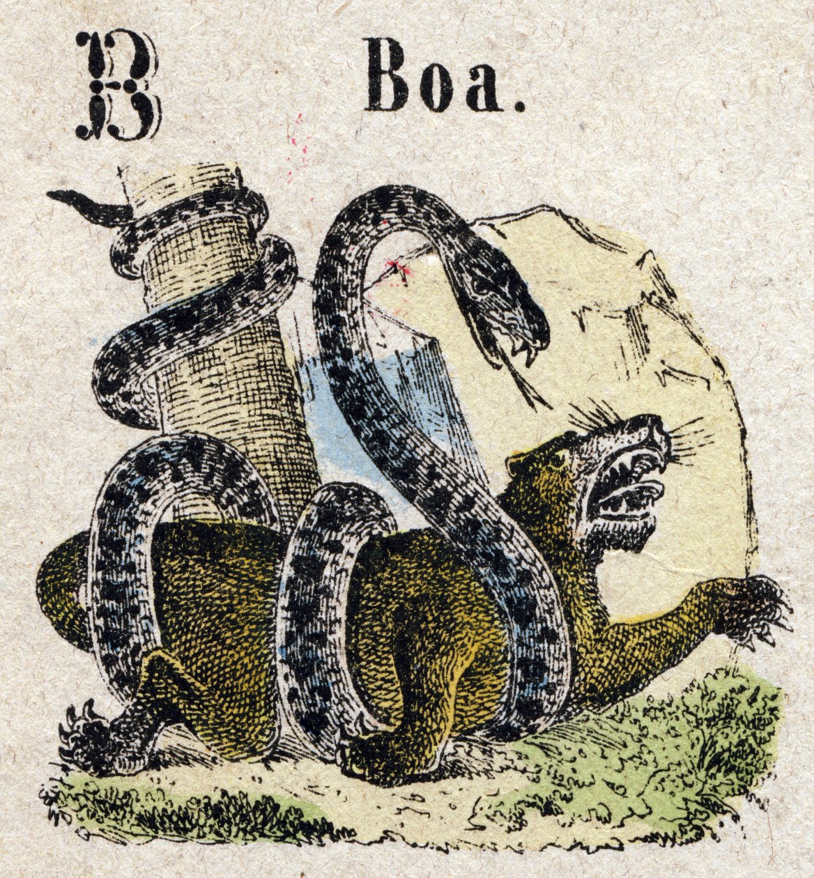 Abecedario. Lettera B come Boa. Piccolo alfabeto enciclopedico, serie popolare. Immagini di Epinal, fine XIX secolo da French School