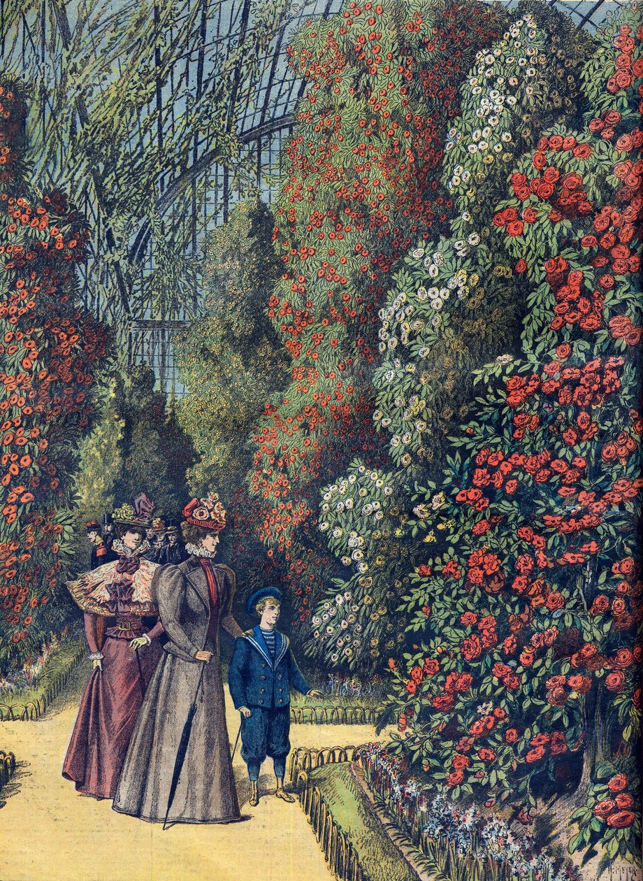 Giardino di acclimatazione - la serre des camelias - Serra di camelie in un giardino botanico da French School