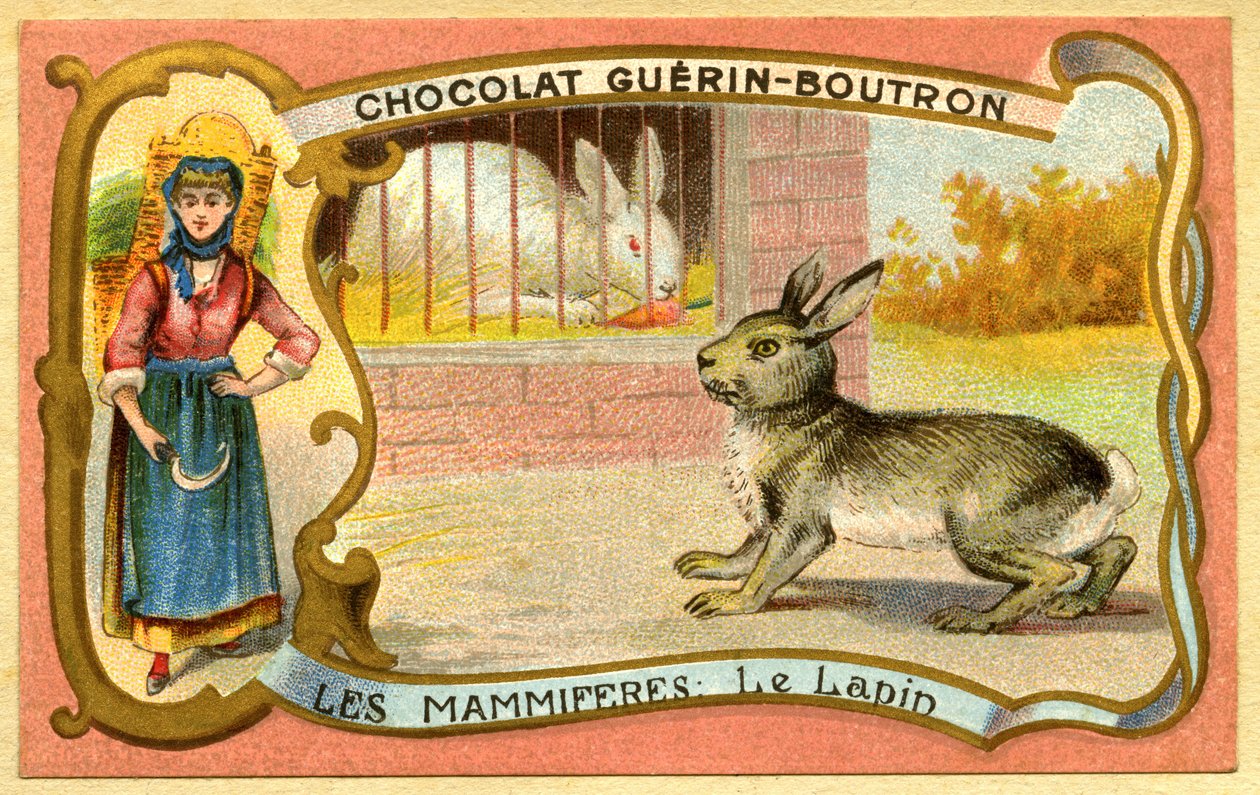 Cromolitografia Pubblicitaria dei Cioccolati Guerin Boutron, Mammiferi, La Gabbia del Coniglio e Selvatici, Warren da French School