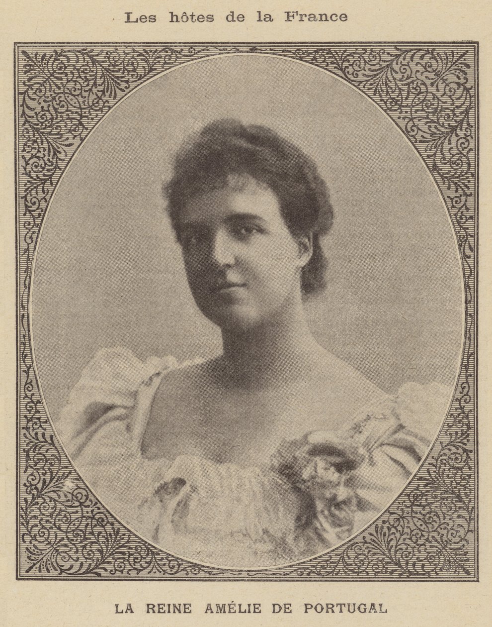 Amelia d