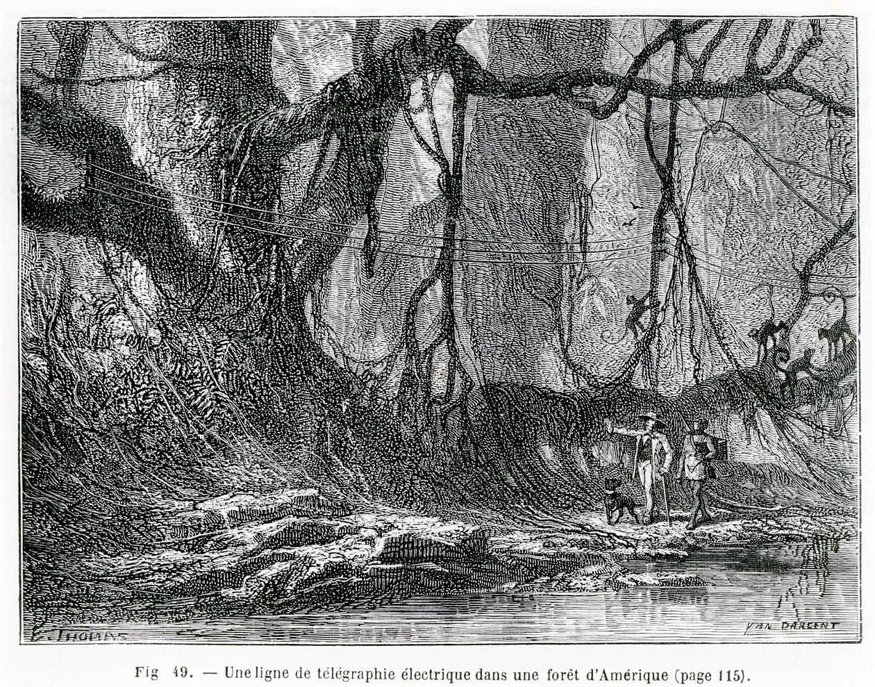 Linea telegrafica elettrica in una foresta americana, c.1870 (incisione) da French School