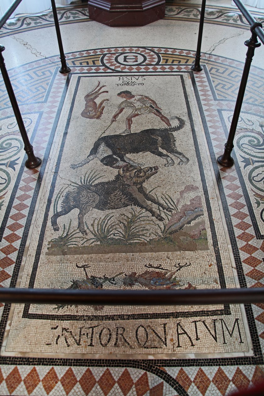 Veduta interna del Castello: mosaico da French School