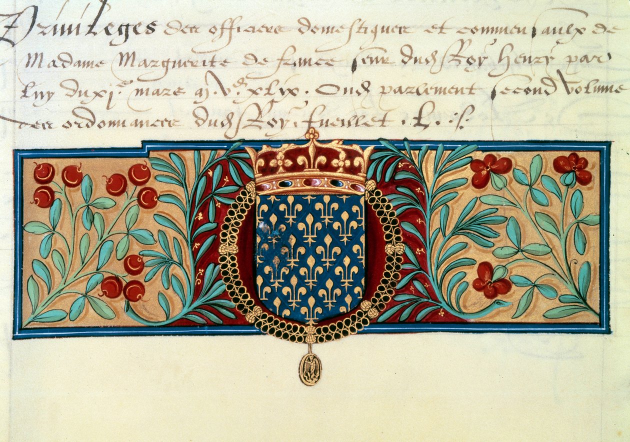 Armi di Francia (circondate dalla collana dell