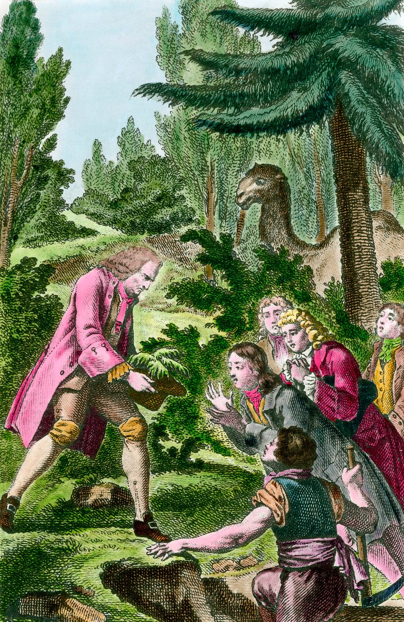 Bernard de Jussieu (1699-1777) pianta un cedro del Libano nel giardino delle piante a Parigi nel 1734. Incisione del XVIII secolo. da French School