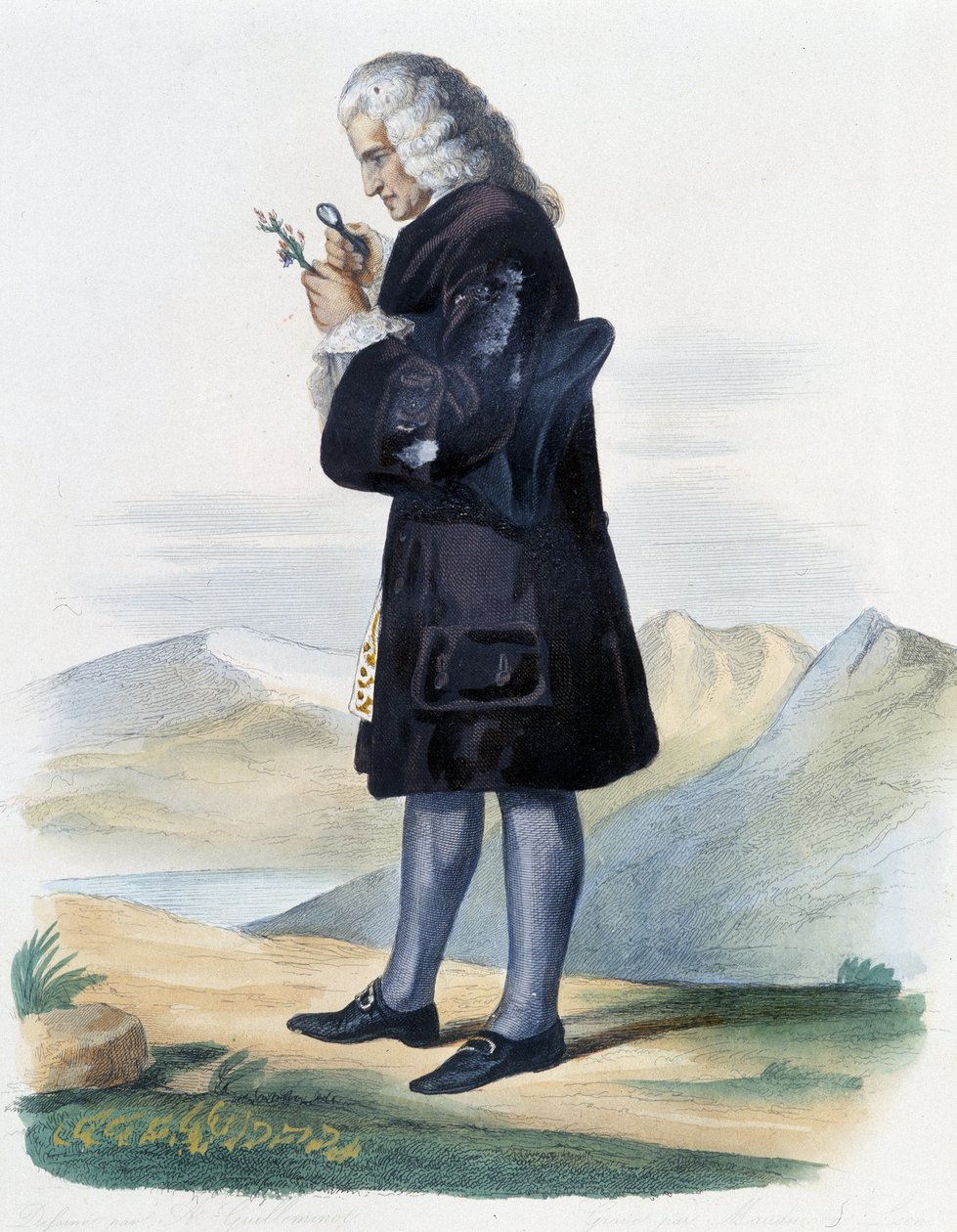 Bernard de Jussieu - in Ed. Mennechet, "Le Plutarque francais" da French School