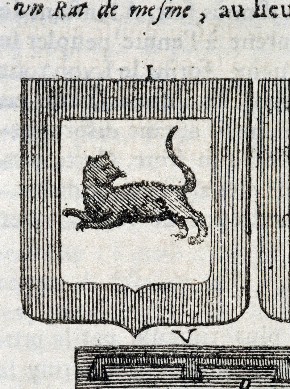 Blasone del Reggimento di Fanteria Italiano in "La Vraye and Perfect Science of Arms or the Armorial Index" di Pierre Palliot da French School