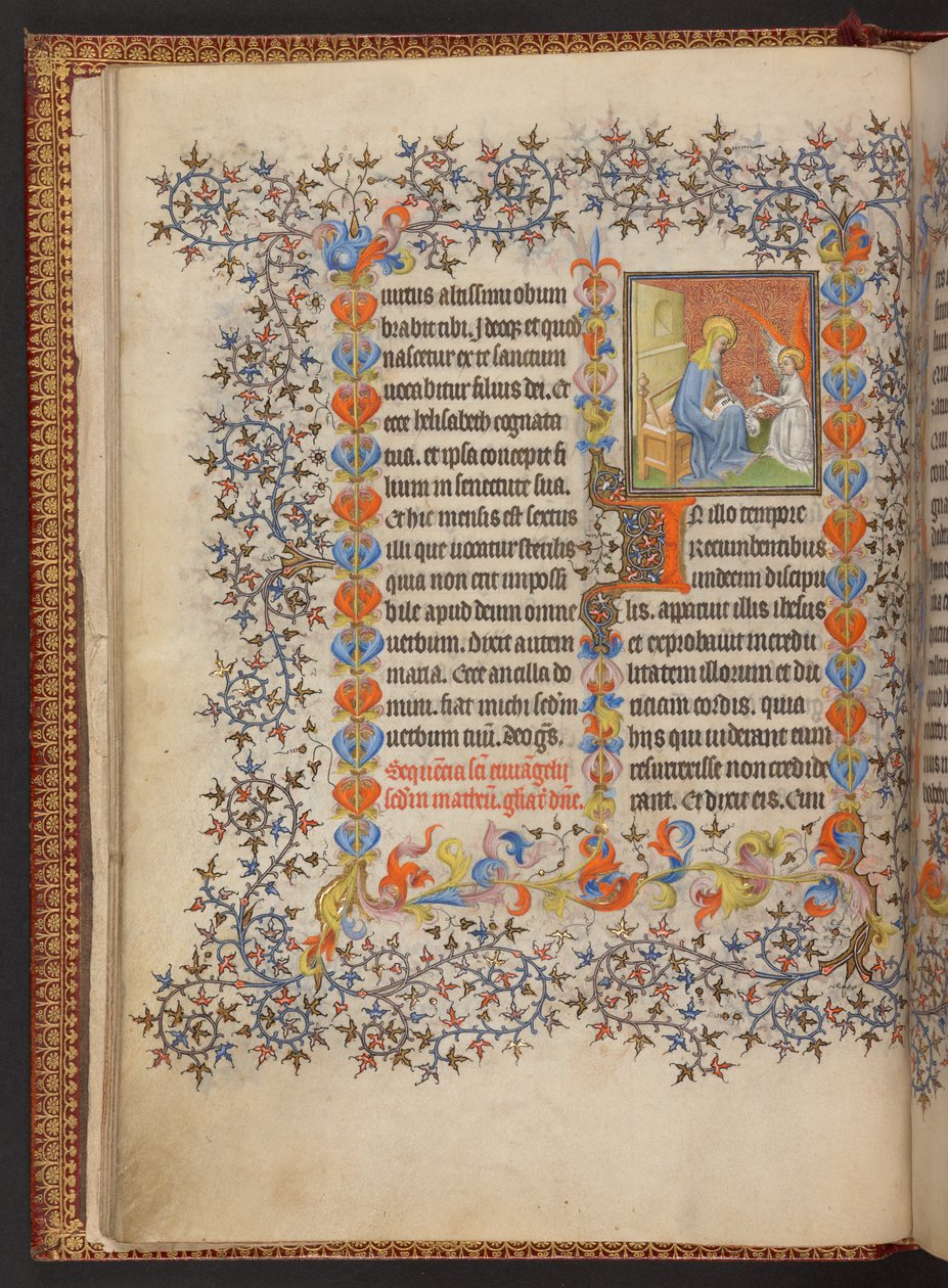 Libro d