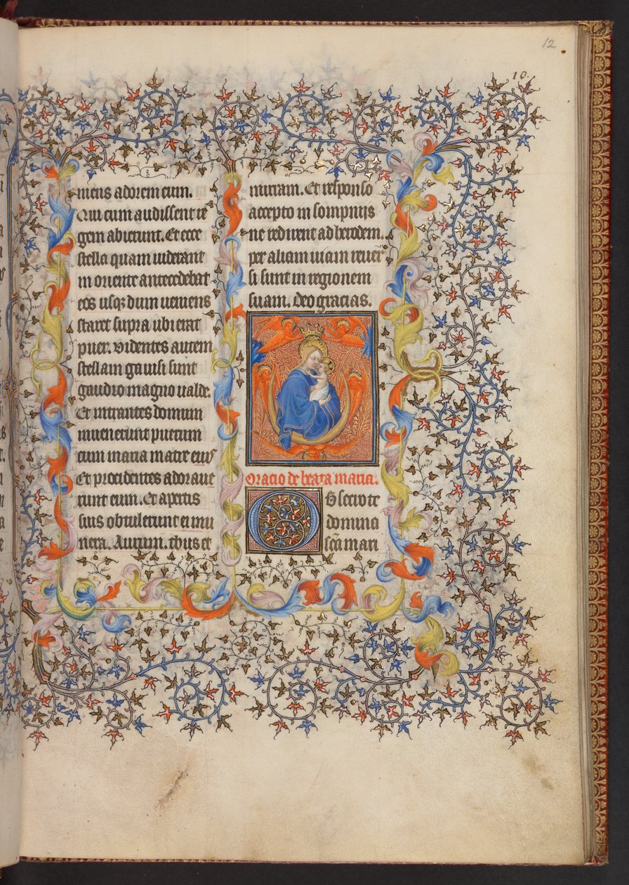 Libro d