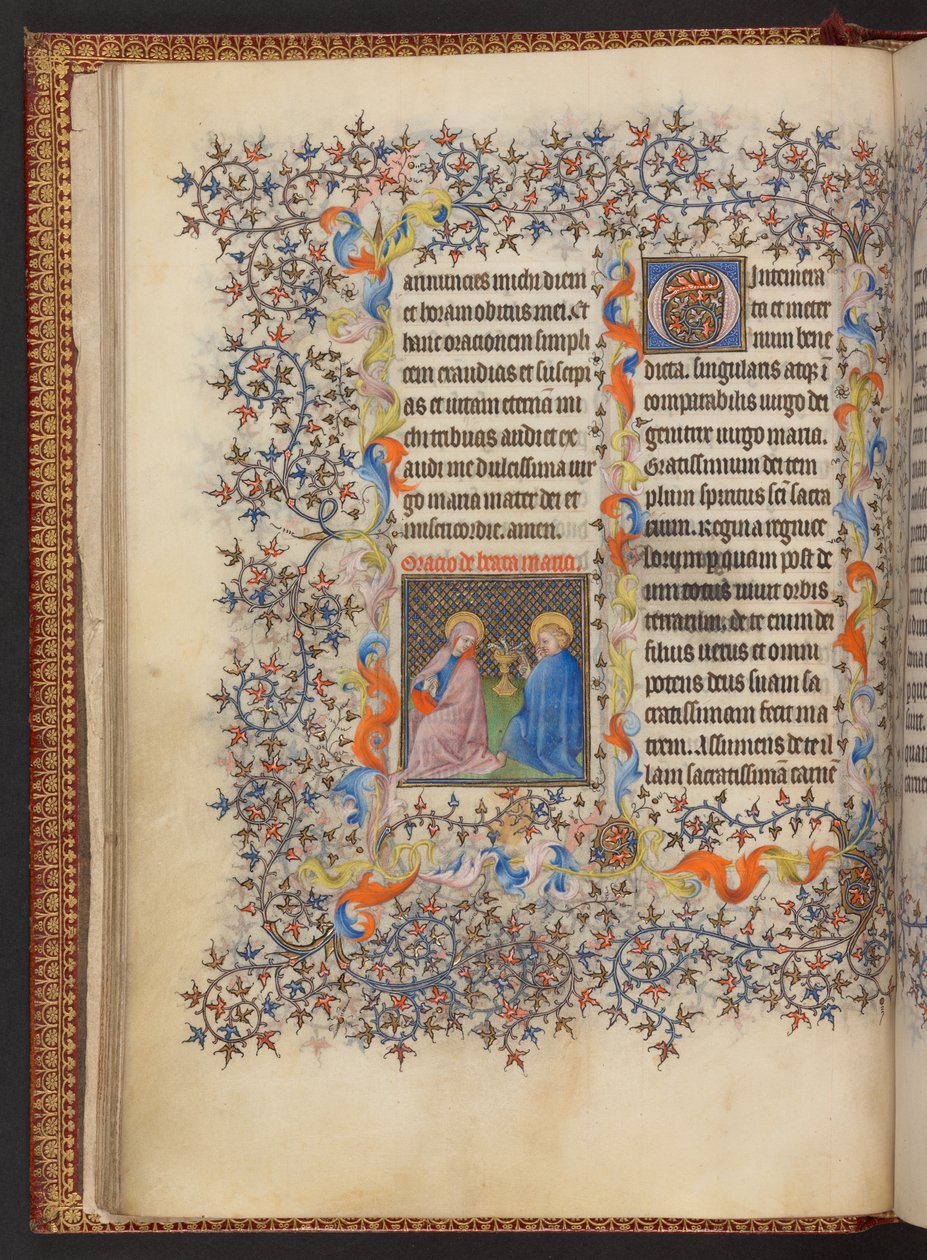 Libro d
