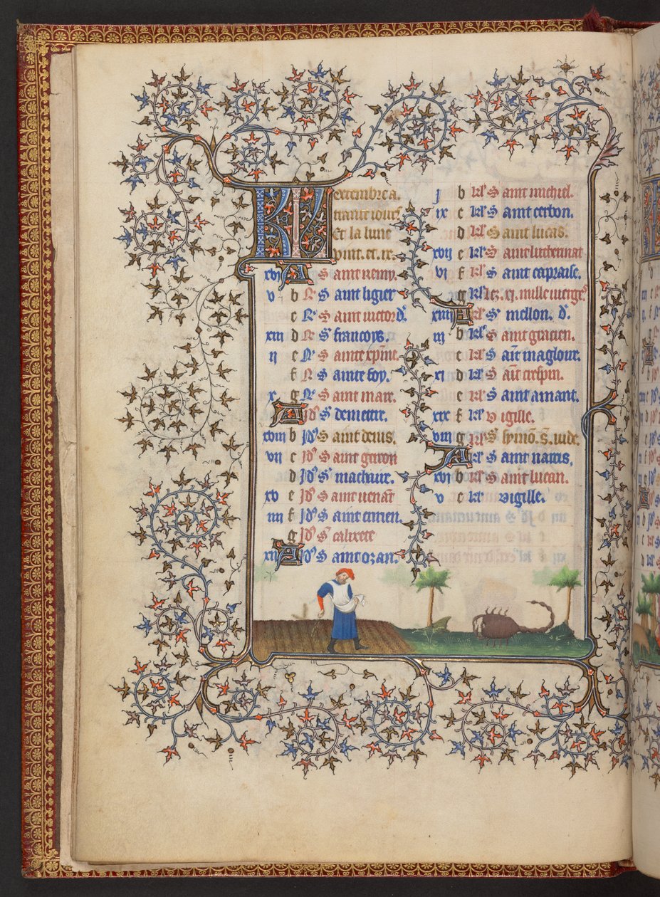 Libro d
