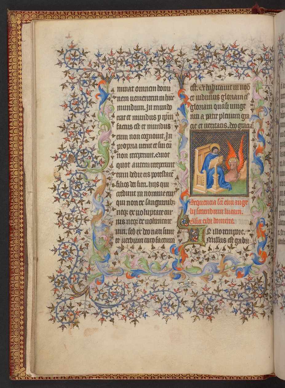 Libro d