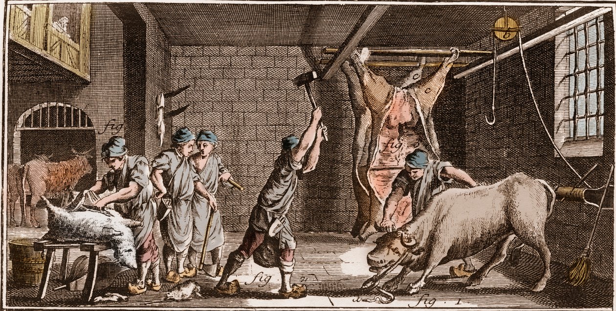 Macellaio - Macelleria - "La Grande Encyclopedie, ou Dictionnaire Raisonne des Sciences, des Arts et des Metiers" (Enciclopedia o Dizionario delle Scienze, Arti e Professioni) di Denis Diderot (1713-1784) e Jean d