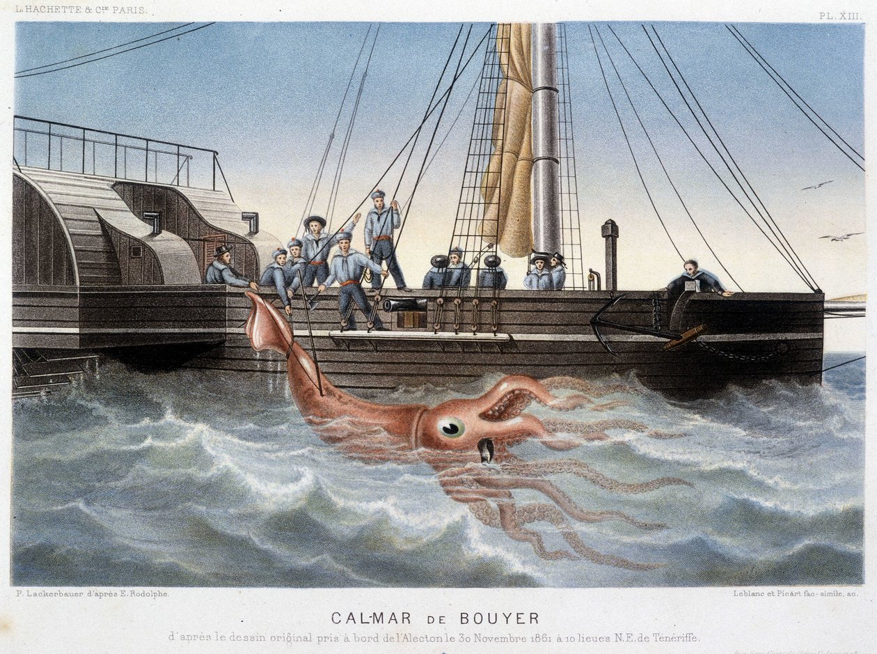 Calamaro Bouyer - in "Le monde de la mer" di Alfred Fredol, Hachette, Parigi da French School