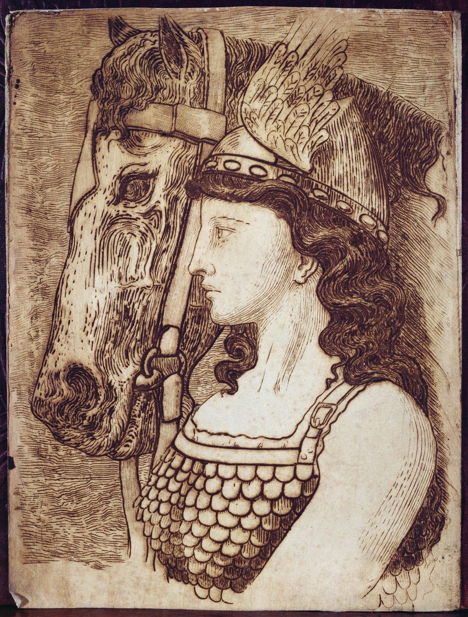 Brunnhilde, illustrazione per 