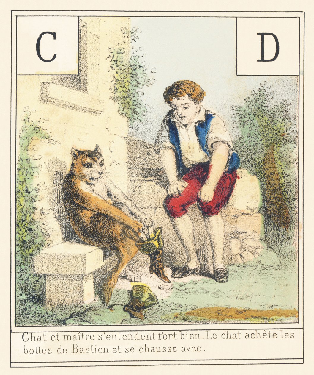 Gatto e padrone vanno molto d