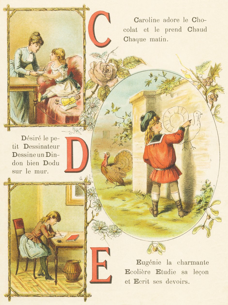 C D E: cioccolato, disegnatore, tacchino da French School
