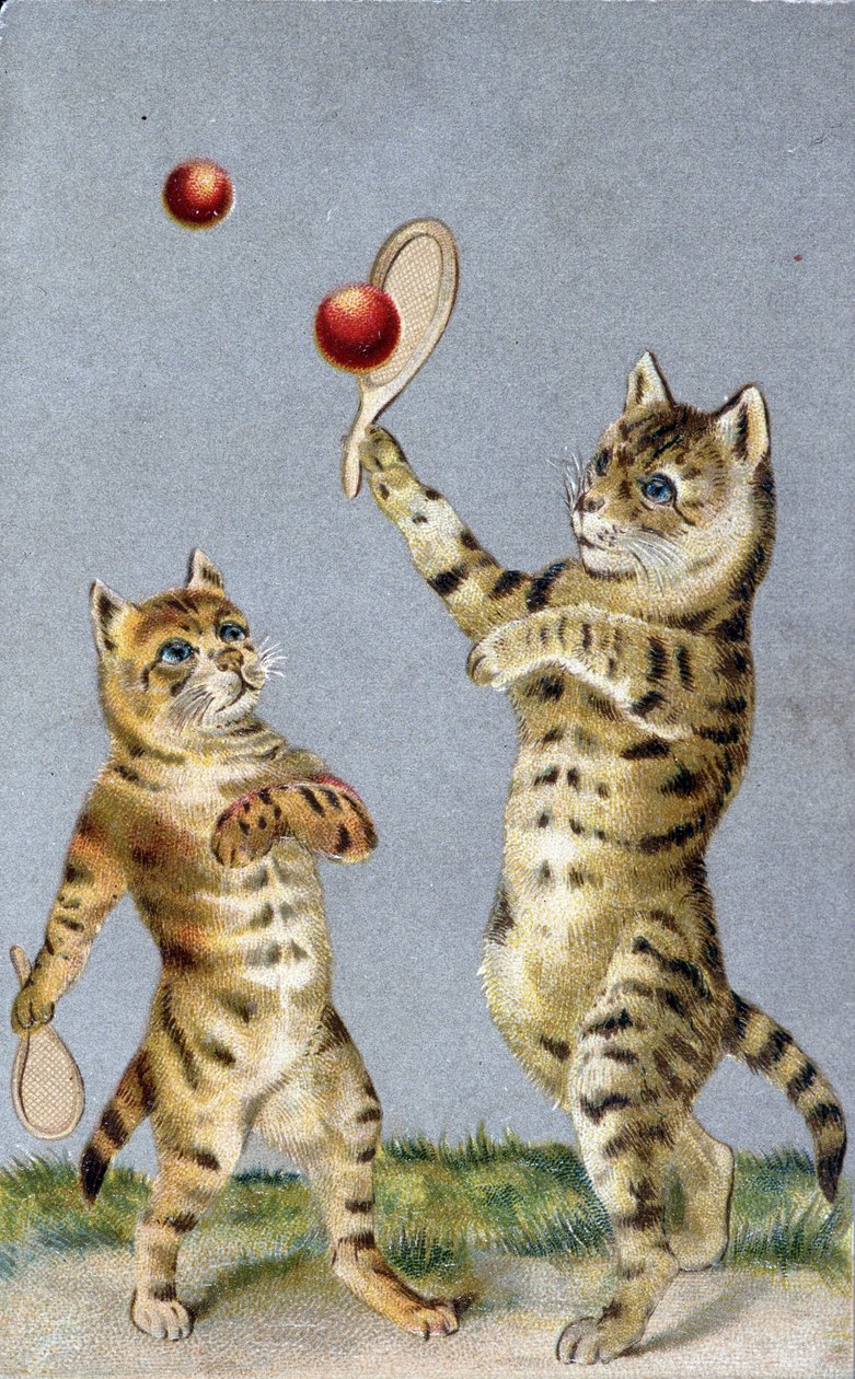 Gatti che giocano a tennis - cartolina inizio XX secolo da French School