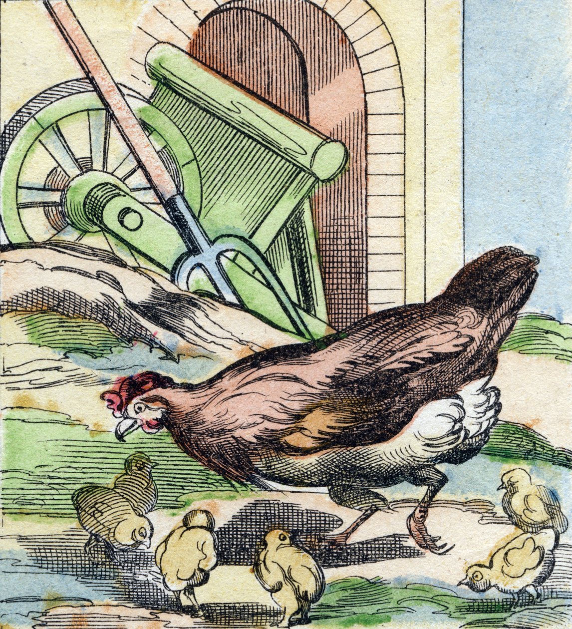 Gallina e pulcini da French School