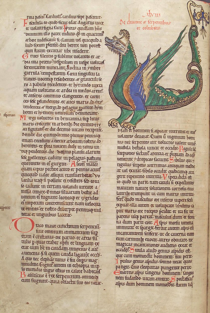 Cod. Guelf. 1 Gud. lat. 40v, testo con illustrazione di un Drago, dal Liber Floridus di Lambert de Saint-Omer c.1120 da French School