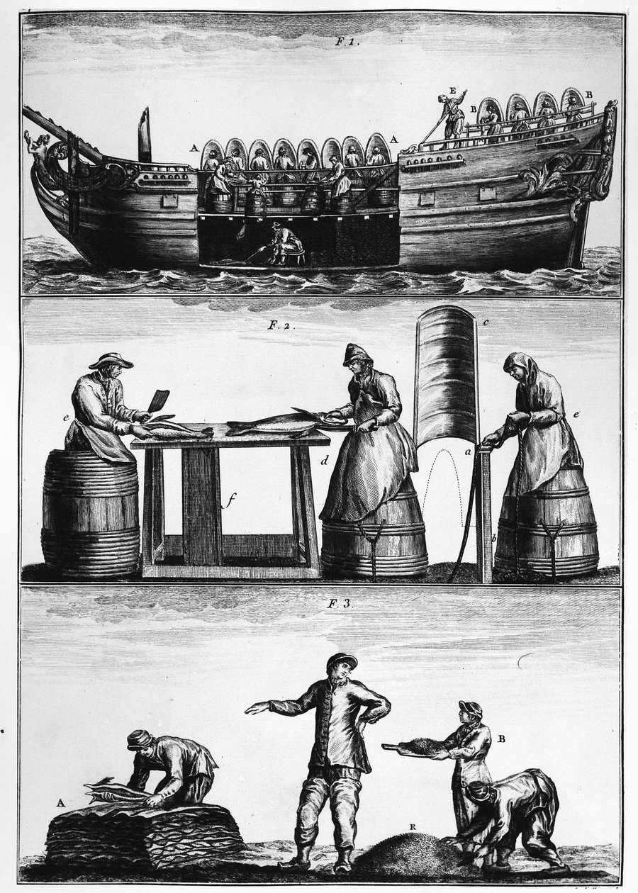 Pesca del merluzzo: carico, affettatura e salatura del pesce - in Traité général des pêches di Duhamel du Monceau da French School