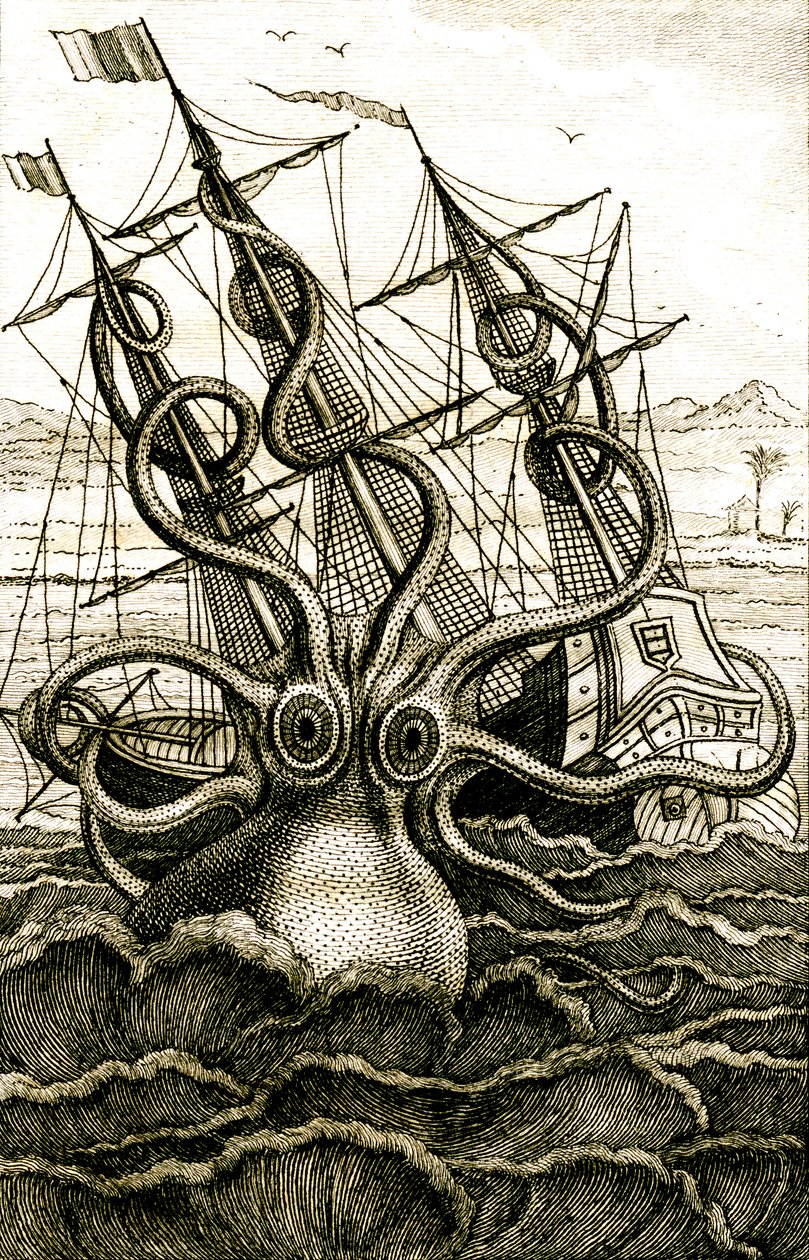 Polpo colossale, c.1802 (incisione) da French School